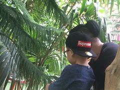-呀路古热带植物园