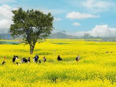 -中国天府农业博览园