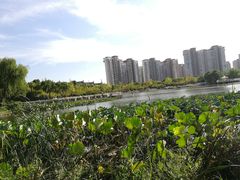 -新江湾城公园