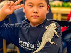 -FAIRYLAND龙族星球主题餐厅(凯丹广场店)