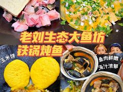 -老刘生态大鱼坊铁锅炖鱼(赛马场店)