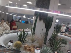 -OUR Bakery(SKP-S店)