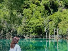 -叠溪松坪沟景区