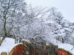 -峨眉山风景名胜区