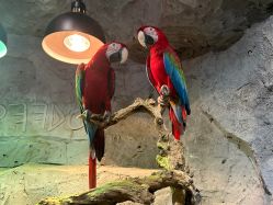 -Zoolung Zoolung动物主题公园(海信广场店)