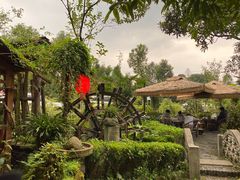 -青城甲(青城山店)