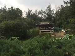 -宣武艺园
