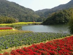 -广州市石门国家森林公园