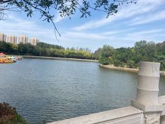 -塘沽森林公园