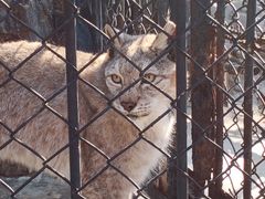 -大连森林动物园