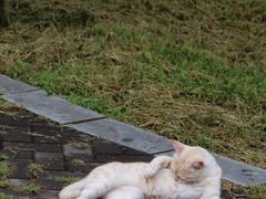 -国家植物园南园