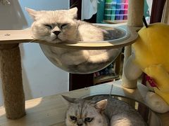 -觅时光手作·香薰·拼豆豆·陶艺DIY