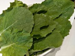 小白菜-澳洲肥牛火锅(转盘路店)