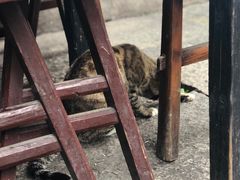 -小河无名面馆