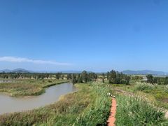 -漩门湾国家湿地公园