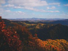 -天女山森林公园