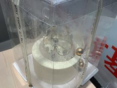 -锦时动物奶油蛋糕(茂业东方时代店)
