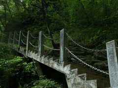 -牛背梁国家森林公园