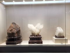 -安徽省地质博物馆