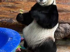 -海南热带野生动植物园