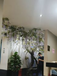 -盘子女人坊古装写真摄影(深圳店)