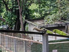 -昆明动物园