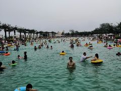 -秦皇岛乐岛海洋王国