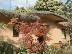 -杭州开元森泊度假乐园