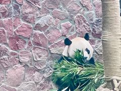 -黔灵山公园