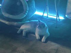 -零纪元VR体验馆·桌游(黄浦店)