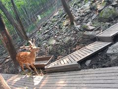 -帽儿山风景区