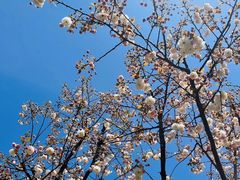 -西北湖绿化广场