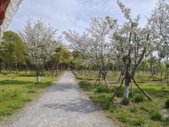 -嘉北郊野公园