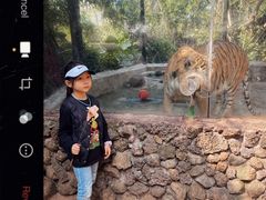 -海南热带野生动植物园
