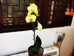 -云来集茶舍(国子监街店)