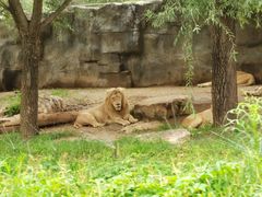 -北京野生动物园