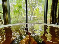 -春晖园度假酒店温泉