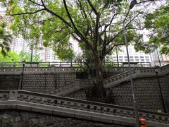 -香港佐治五世纪念公园