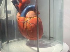 -佛山科学馆