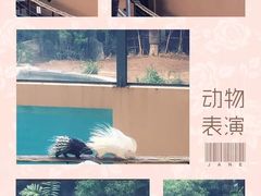 -清迈夜间动物园