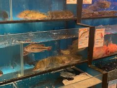 -盒马鲜生(宝地店)