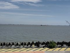 -上海滨江森林公园