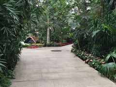 -北京植物园-展览温室