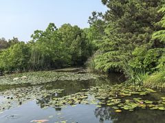 -白马涧龙池景区