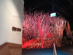 -墨尔本博物馆(Melbourne Museum)