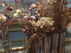 -野草莓自由市场