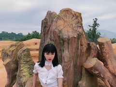 -西海岸生态观光园