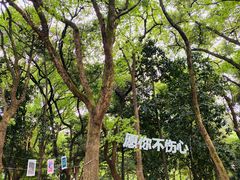 -杭州植物园