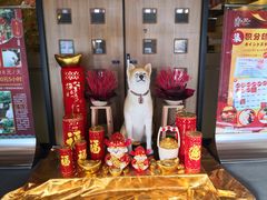 -大江户·温泉洗浴(浑南店)