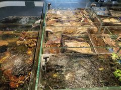 -大灶头·新昌菜(中国茶市店)